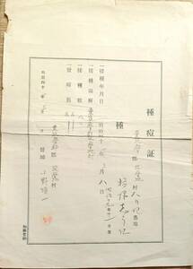 f24030744〇種痘証 東筑摩郡 長野県 明治４１年〇和本古書古文書