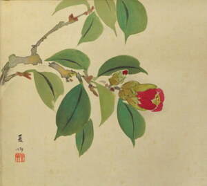 Art hand Auction JY1545◆◇掛軸 須磨夏郷 紅椿 半切行灯 物故作家掛軸◇◆春 茶道 日本画, 絵画, 日本画, 花鳥, 鳥獣