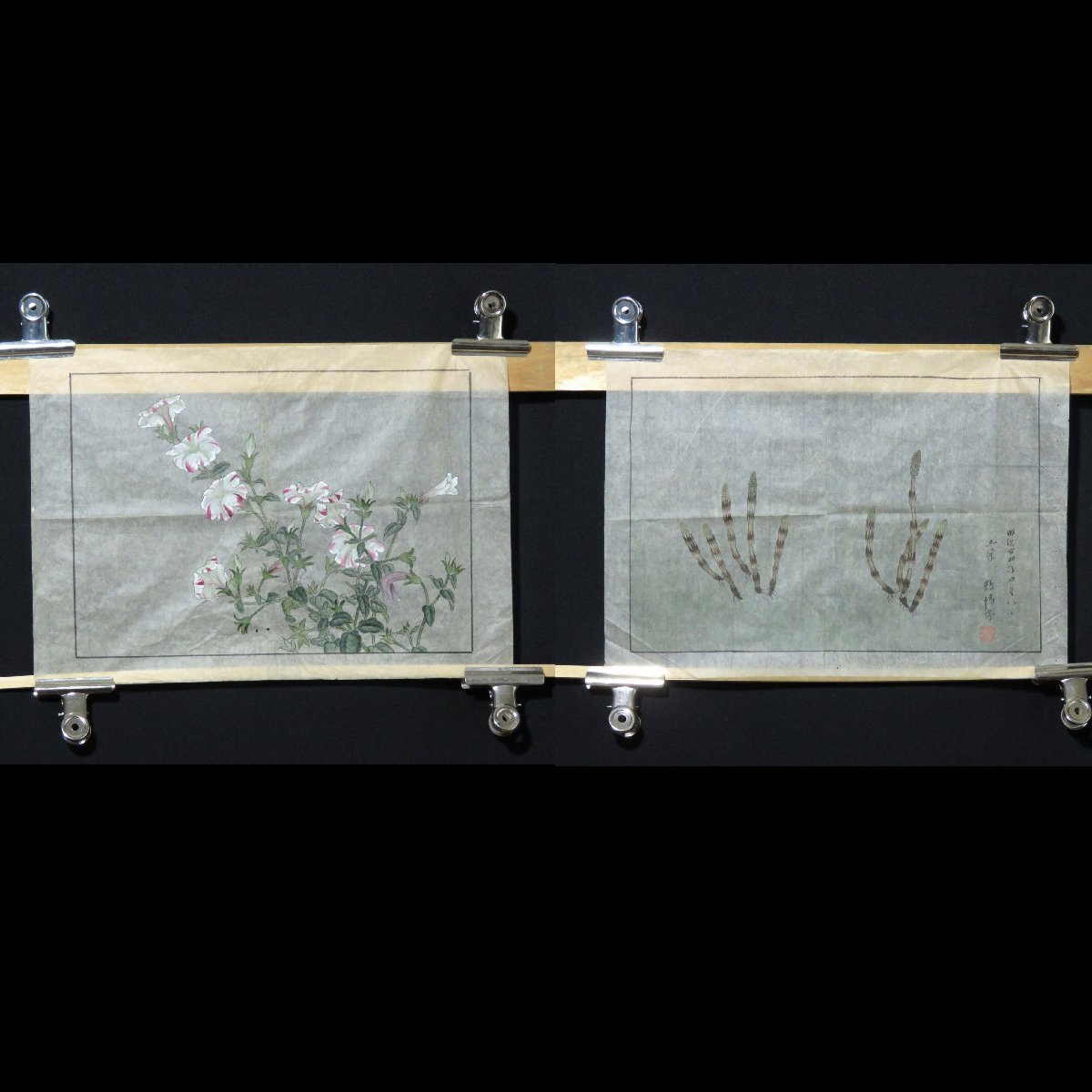 ◆◇Mekuri Meiji Herb Painting Inscription: Bridge Clay Calligraphy Unsigned Morning Glory◇◆JY523, painting, Japanese painting, flowers and birds, birds and beasts