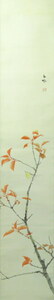 Art hand Auction JY1597◆◇掛軸 須磨対水 桜紅葉 尺巾 物故作家掛軸◇◆晩秋 茶道 日本画 花鳥画, 絵画, 日本画, 花鳥, 鳥獣