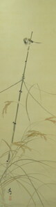 Art hand Auction JY1567◆◇Pergamino colgante Naoki Fukada (Shiga 1861-1947) Gorrión en la oreja de arroz Shakurin Pergamino colgante del artista fallecido◇◆Ceremonia del té de finales de otoño Pintura japonesa, cuadro, pintura japonesa, flores y pájaros, pájaros y bestias