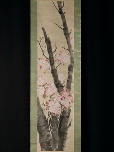 ◆◇東原方僊( HIGASHIHARA Hosen/ Okayama‐Kyoto,1886‐1972) 桜 半切立 物故作家掛軸 ◇◆春 普段掛け 季節掛け モダン掛軸 JY2064