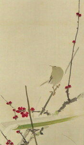 Art hand Auction ◆◇掛軸 須磨対水 筧(紅梅に鶯) 尺巾 物故作家掛軸 hanging scroll◇◆正月 早春 茶道 日本画 JY1546, 絵画, 日本画, 花鳥, 鳥獣