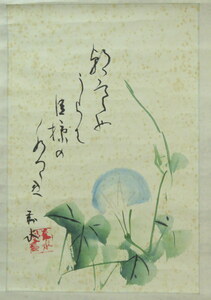 Art hand Auction JY167◆◇Suma Taisui Morning Glory Hanging Scroll by Late Artist◇◆Early Summer Midsummer Tea Ceremony, painting, Japanese painting, flowers and birds, birds and beasts