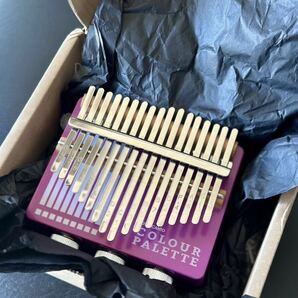 超希少品 送料無料 Lottie Canto Colour Palette Electric Kalimba エレクトリック カリンバ モジュラーシンセの画像7