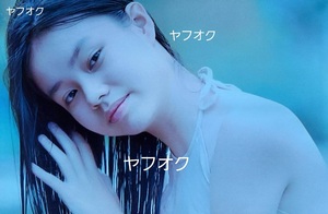 即決【国内正規品DVD+非売品プレスシート】官能美 ベトナム映画『第三夫人と髪飾り』+映画プレスシート(カタログ) 13歳の美少女がヒロイン 