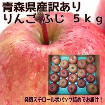 青森県産　りんご　訳あり　ご家庭用　ふじ　５ｋｇ　パック詰め　送料無料！_画像1