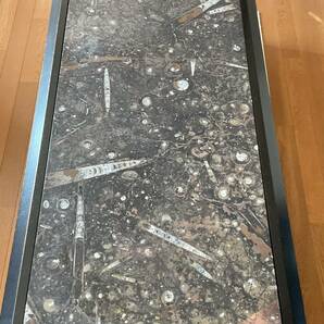 TTJ309 古生代化石入り大理石テーブル/アンモナイト、オルソセラス（直角貝）他多数/千葉県柏市発の画像3