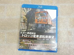 紅葉の黒部峡谷トロッコ電車運転席展望 宇奈月 ⇔ 欅平 往復 Blu-ray Disc/ブルーレイ 4K撮影作品 【6792y1】