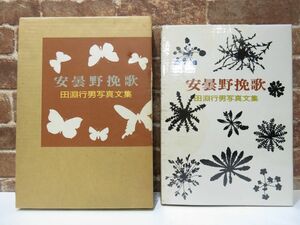 安曇野挽歌 田淵行男 写真文集 朝日新聞社 昭和57年 本 写真集 自然 【署名入り】 【721mk】