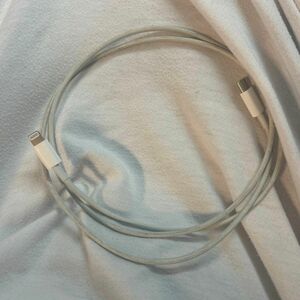 Apple USB-C ライトニング ケーブル