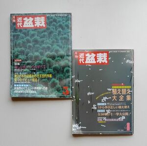 月刊近代盆栽 4月号と5月号