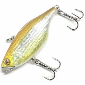 【限定品】TN60 魚矢限定 コトコトサウンドVer. #HLスーパーワカサギ JACKALL ジャッカル ティーエヌ60 TN/60 LIMITED EDITION MODELの画像1