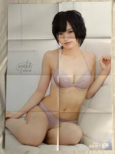 山本彩 NMB48 月刊エンタメ 付録ポスター B２サイズ -E11