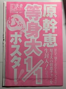 原幹恵 等身大ポスター(16頁折) EX大衆2010年7月号付録 -F5