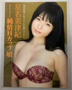 【厚手ラミネート加工】星名美津紀　水着　A4変サイズ　雑誌切り抜き ５ページ FRIDAY２０１３年９月２７日号【グラビア】-A11