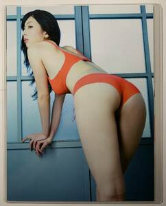 【厚手ラミネート加工】小林恵美　水着　A4変サイズ　雑誌切り抜き ７ページ EXCITER２００７年VOL.15【グラビア】-J1