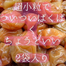 紀州小梅　はちみつ梅　500g×２袋　訳あり送料無料規格外　ポスト投函　産地直送　ちょうどいい　梅干し　はちみつ漬け　和歌山_画像1