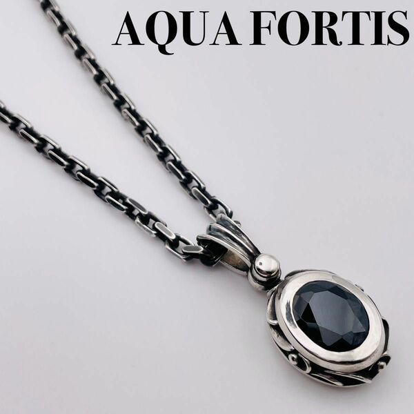 美品 AQUA FORTIS アクアフォーティス FP-012 ネックレス