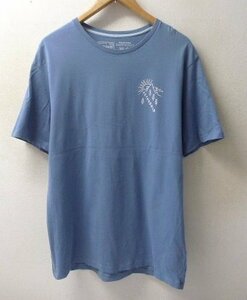 ◆国内正規 Patagonia パタゴニア 2020年製 HOW TO HELP ORGANIC T-SHIRT 38530 Tシャツ SAX サイズM