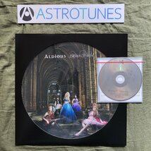 傷なし美盤 美ジャケ 2014年 国内盤 アルディアス Aldious 12''EPレコード&CDセット Other World J-Rock ジャパメタ ガールズロック_画像1