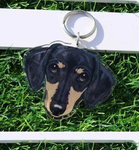 ダックスフンド　アクリルキーホルダー　キーホルダー　犬　キーリング　アクリル　ダックスフント　プレゼント　母の日　誕生日　ダックス