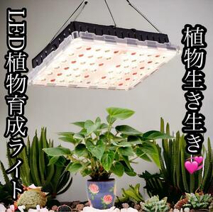 LED植物育成ライト植物栽培ライト太陽のような フルスペクトル4000K 赤色光 太陽のような 家庭菜園 多肉植物 観葉植物 長寿命 室内