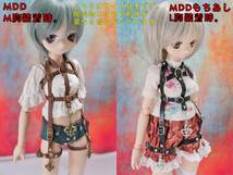 千葉DOLL工房 1/3ドール MDD MDDもちあし MDD2.0対応型 レザー ハーネス ベルト 淫紋 ガーター 本革製 茶 古美金 M、L胸対応_画像7