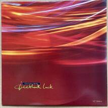 Cocteau Twins / Iceblink Luck / コクトー・ツインズ / Capitol V-15626 / 12'' 45rpm / US盤 / 1990年_画像1