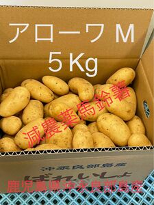 【赤土じゃがいも】アローワ　M５キロ/減農薬/沖永良部島産産