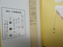 G4■標準 人体解剖図【著】草間悟【発行】金園社 昭和60年◆可■_画像6