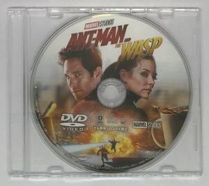 即決★アントマン＆ワスプ DVDのみ★MovieNEX 国内正規品 MARVEL MCU 映画