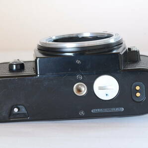 超美品 ストラップ付き 絞り優先専用の小さな名機 Nikon ニコン EM リトルニコン フィルムカメラ 一眼レフ    #333の画像9