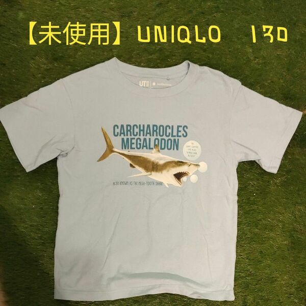 【未使用】UNIQLOユニクロ 130 Tシャツ　水色　ライトブルー T-SHIRT　Smithsonian