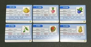 6種 セット ポケモン バトルカードe カチャのみ ブーカのみ ビスナのみ エドマのみ ホズのみ ラッカのみ 2003 pokemon e battle card