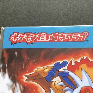 未開封 ポケモンだいすきクラブ 非売品 下敷き 2008 POKEMON shitajiki not for saleの画像2