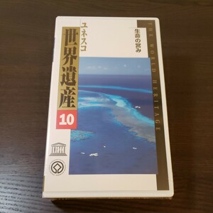 【未開封】ユネスコ世界遺産 10 生命の営み VHS ビデオ