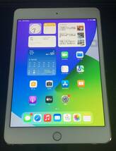 ☆彡docomo★SIMロック解除★Apple iPad mini4★Wi-Fi+Cellular★64GB シルバー☆彡 _画像1