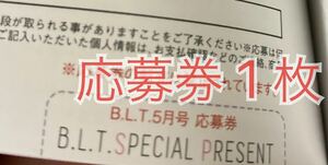 B.L.T. （BLT）2024年5月号 チェキ応募券 1枚 梅澤美波 林瑠奈 奥田いろは 石田みなみ 隅野和奏