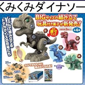 くみくみダイナソー 組み立て式 4種セット 組み立て式プラモデル ※ばら売り不可