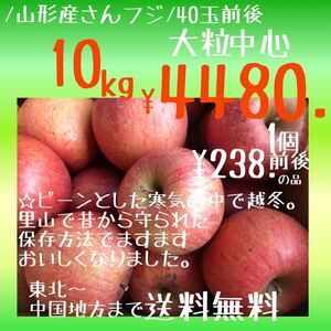 山形産りんご/サンフジ10kg大〜小粒サイズ混合¥4480.東北から関西中国地方まで送料無料　