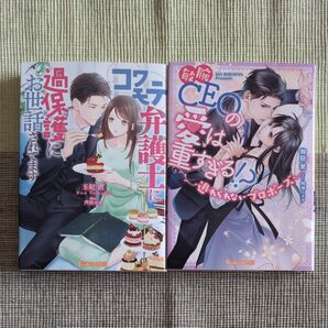 コワモテ弁護士に過保護にお世話されてます 玉紀直 / 敏腕CEOの愛は重すぎる 御厨翠