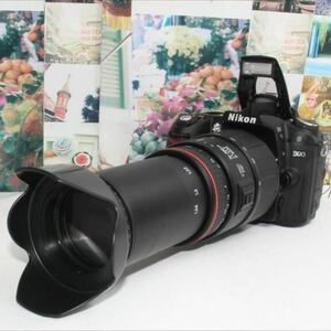 新品バッグ付きNikon D90 超望遠 300mm レンズセット