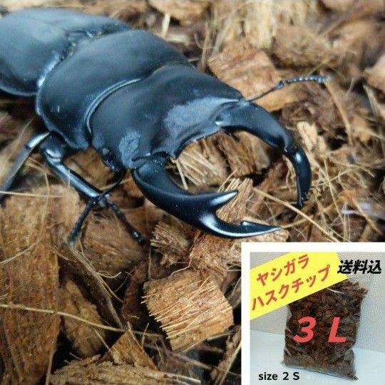 【天然】ヤシガラ ハスクチップ ３L カブトムシ クワガタ 飼育マット 観葉植物