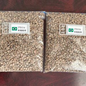コーヒー生豆 ブラジル 有機栽培800g