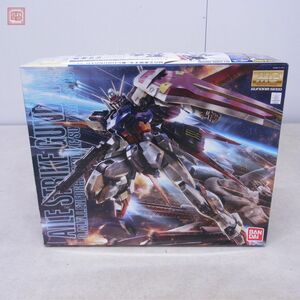 未組立 バンダイ MG 1/100 GAT-X105 エールストライクガンダム Ver.RM 機動戦士ガンダムSEED BANDAI AILE STRIKE GUNDAM【20