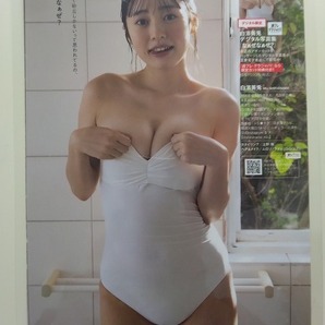 W074《切り抜き》【白濱美兎】8P（ラミネート加工・B5サイズ）/週刊プレイボーイ 2024年No.1・2 グラビア ☆送料一律☆の画像7