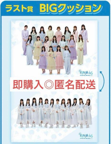 【新品未開封】日向坂46 くじっちゃお ラストワン賞 BIGクッション