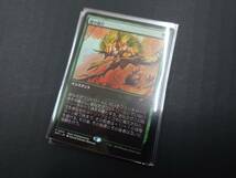 ca35) MTG 尾の強打 P 0015 SCH インスタント 8枚セット_画像2