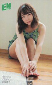 ★北野日奈子　エンタメ★テレカ５０度数未使用om_184